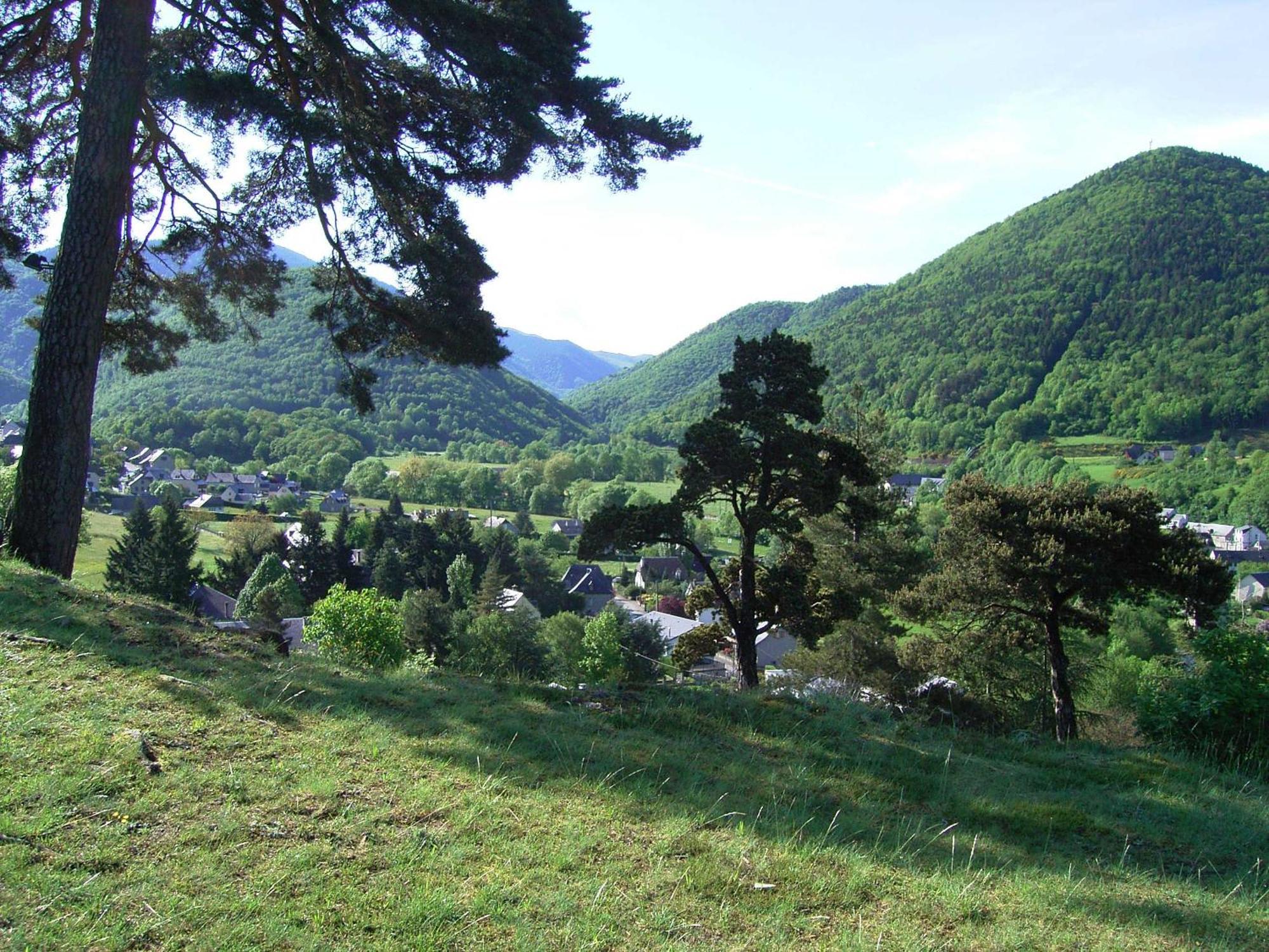 Grange Renovee En Gite/Maison/Chalet 阿雷奥 外观 照片