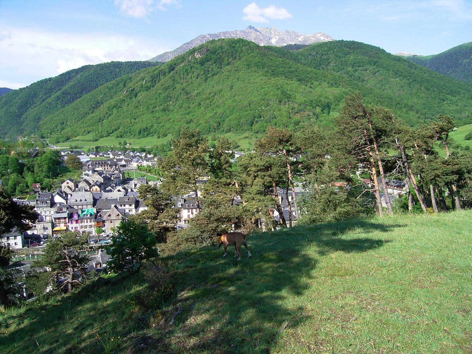 Grange Renovee En Gite/Maison/Chalet 阿雷奥 外观 照片